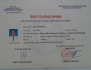 BÁC SĨ CHÂM CỨU, VẬT LÝ TRỊ LIỆU CHỮA LIỆT, BỆNH THẦN KINH, XƯƠNG KHỚP TẠI NHÀ TP HCM