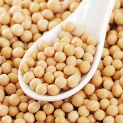 Anlocfood Phân phối sỉ đậu nành số lượng lớn