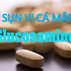 Uống Glucosamine hay sụn vi cá mập thì tốt?